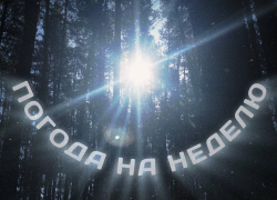 Свитер, прогулки и хорошее настроение: гид по погоде на неделю в Воронеже