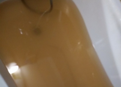 На постоянные купания в «кофе с молоком» пожаловалась жительница Воронежа