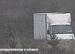  Двое воронежцев попались на краже 33 сосен