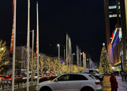 Какой будет погода в предновогодней Воронежской области