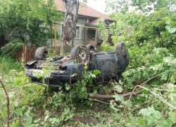 Последствия смертельной встречи воронежской «Приоры» с деревом показали на фото 