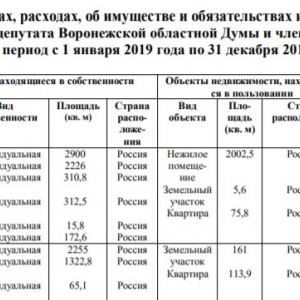 Евгений Хамин не хочет в новый созыв воронежской облдумы?