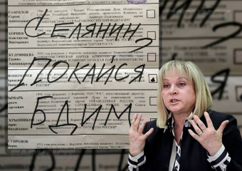Элла Памфилова послала новый сигнал воронежским креаторам "селянинских" выборов
