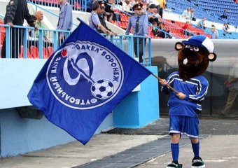 Власти узнают у болельщиков, кого назначить президентом воронежского «Факела»