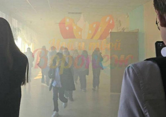 Причину задымления в воронежской гимназии назвали спасатели