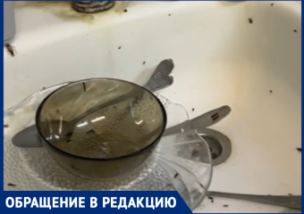 «Мы отшельники»: жуткие условия в общежитии показали в Воронеже 