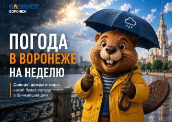 Солнце, грозы и +32: что приготовила погода воронежцам на грядущей неделе