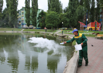 В воронежское «Лебединое озеро» на Минской запустили бактерий