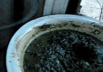 В Воронежской области полицейские поймали наркоманов за приготовлением конопляной каши