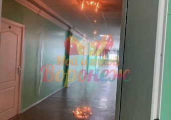 Возгорание в гимназии №2 привело к эвакуации учеников на севере Воронежа