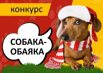 Объявляем конкурс «Собака-обаяка»!