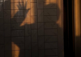 Чем порадует погода воронежцев на грядущей неделе?