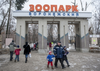В Воронежском зоопарке енот, кролик и еж предскажут весну