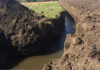 Дело об осушении озера Круглого под Воронежем приостановили – отсутствуют подозреваемые