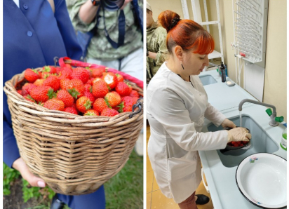 Как в Нововоронеже клубнику на радиоактивность проверяли