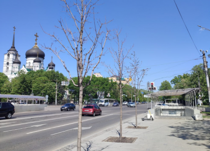 Почему Воронеж превращается в «поле чудес», но без Якубовича