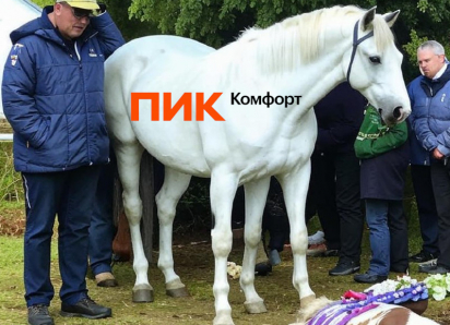 Коммунальная лошадь наконец сдохла в Воронеже