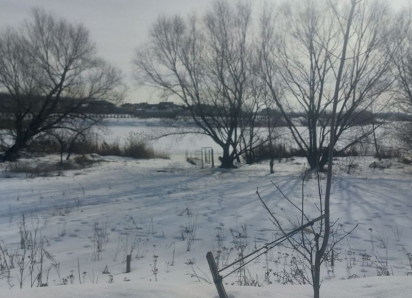 Участок в водоохранной зоне выставили на продажу почти за 7 млн рублей в Воронеже