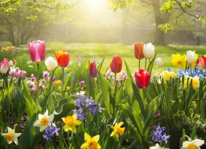 Когда в Воронеж вернется тепло, ответил глава гидрометцентра 