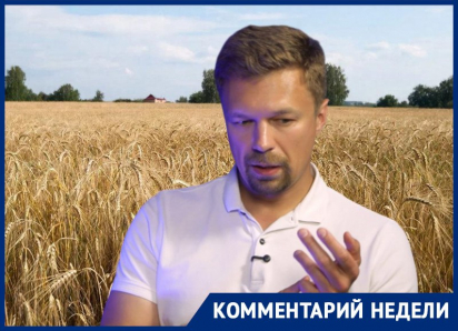 Узнаем че там не по отчетам: честные итоги урожаю-2025 подвел воронежский фермер 