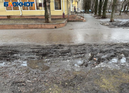 Грязевую зиму в Юго-Западном районе Воронежа показали на фото