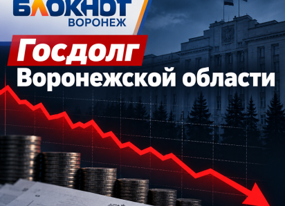 Что происходит с госдолгом Воронежской области, показали данные Минфина