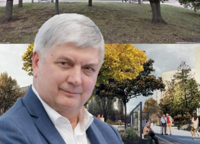 Воронежцы попросили губернатора Гусева спасти городские деревья