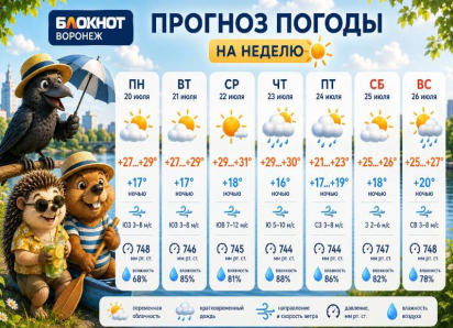 Воронежцев ждет жаркая неделя с дождливым финалом: прогноз погоды на неделю