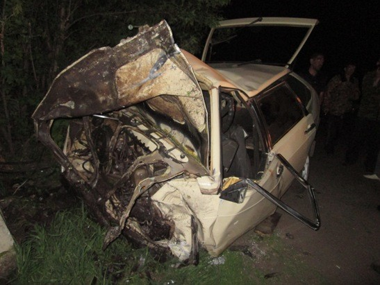 В Воронежской области «девятка» врезалась в дерево: водитель погиб
