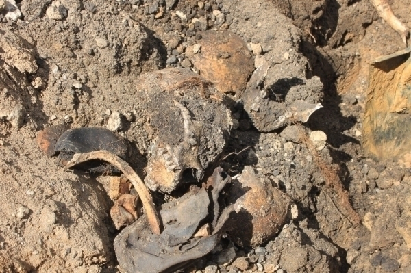 На стройке в Воронеже нашли человеческие останки