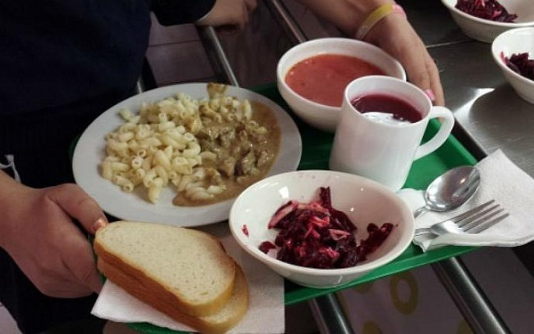 Сговор поставщиков школьного питания на 280 млн раскрыли в Воронеже