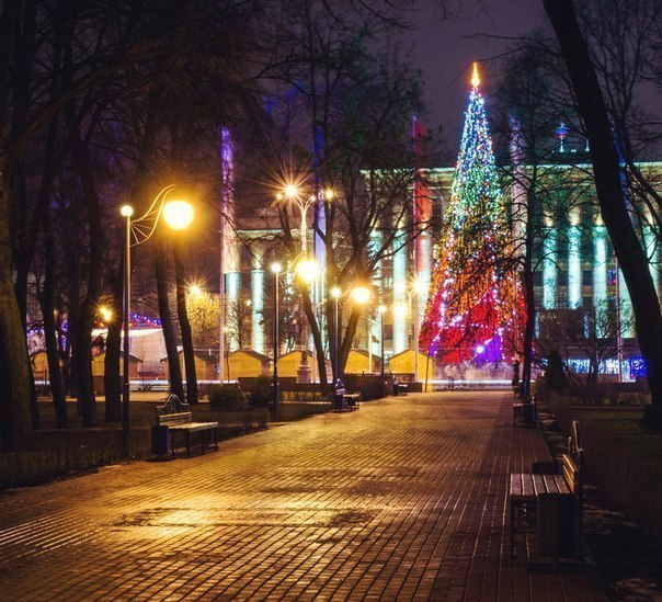 Как пережить новогодние праздники в Воронеже