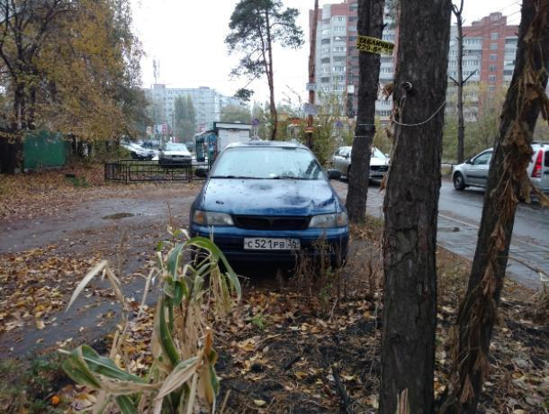 Парковку без страха и совести сфотографировали в Воронеже