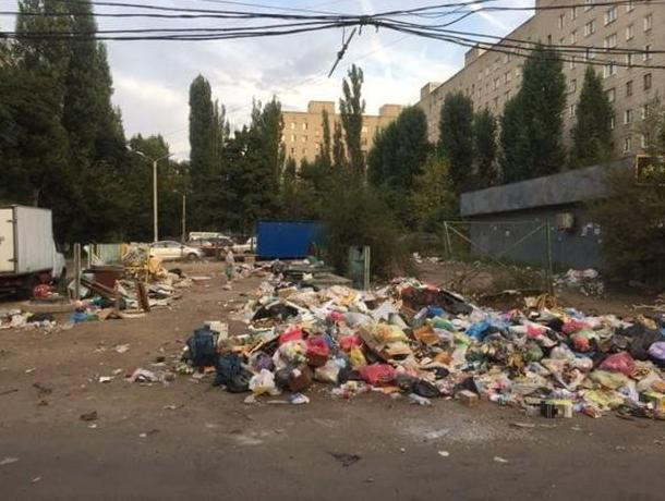 Воронежцы сообщили об источнике неприятного запаха на Левом берегу