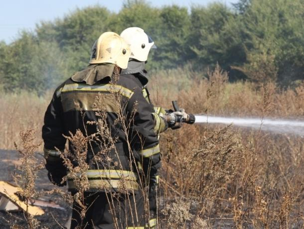 Воронежцев предупредили о запахе гари после лесного пожара в Сомово