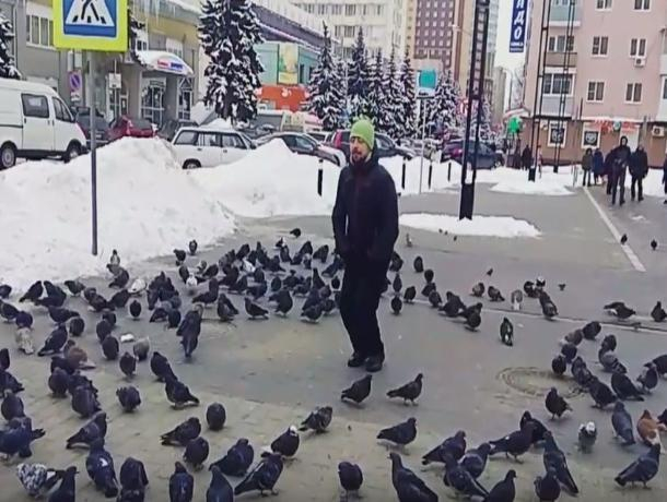 Путешественник из Уфы показал эффектный номер с воронежскими голубями