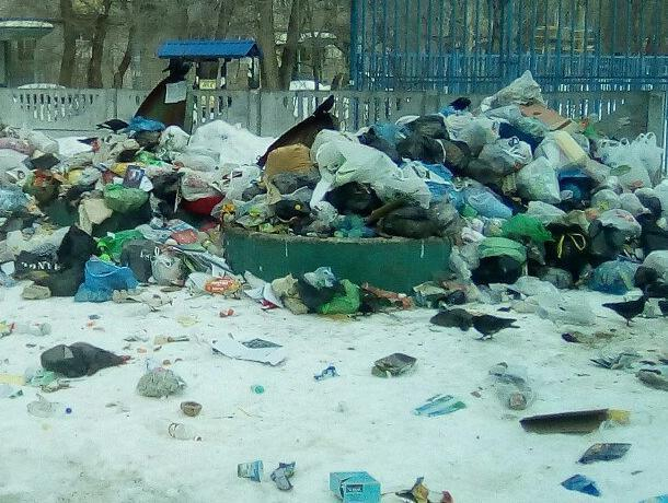 В Воронеже сфотографировали «мусорные Альпы"в центре Северного