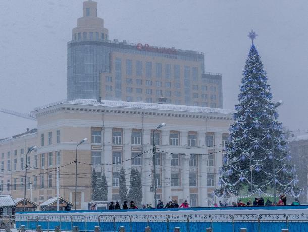 Власти Воронежа сэкономят 600 тыс рублей на установке новогодней елки