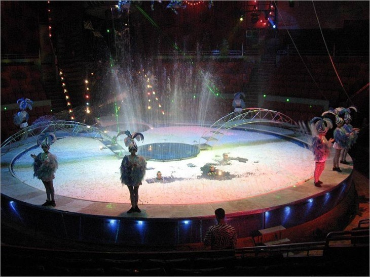 В воронежском цирке покажут премьеру с участием русалок и медуз