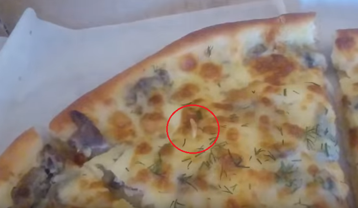 Житель Воронежа обнаружил живое насекомое в пицце