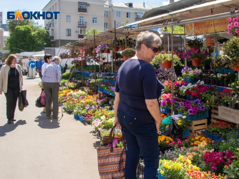 «Всё что душе угодно»: торговый комплекс «Кольцовский» стал раем для воронежских дачников
