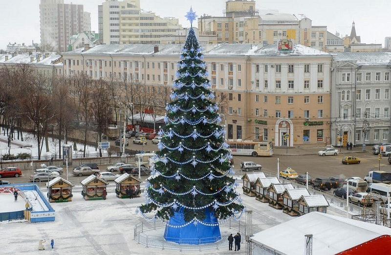Мэрия Воронежа нашла ответ для желающих поставить новогоднюю ель за 1 копейку