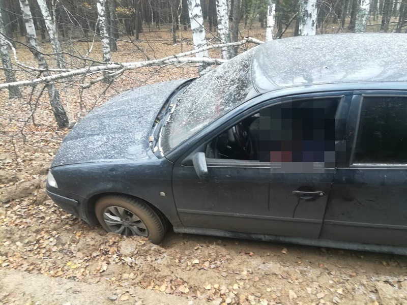 Водителя без головы нашли в машине в Воронеже