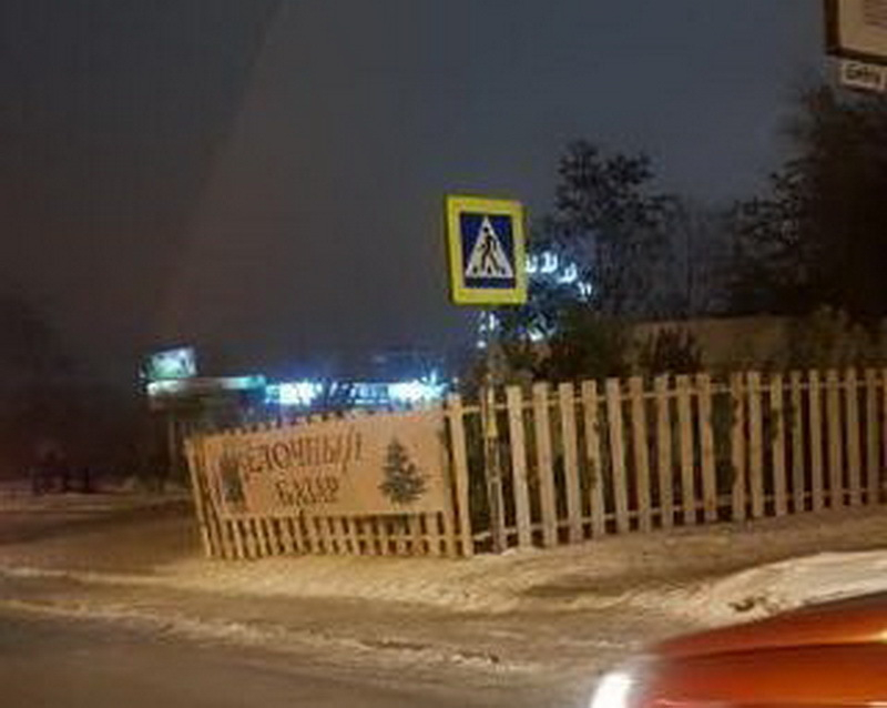 Воронежцы заметили незаконный елочный базар, угрожающий пешеходам
