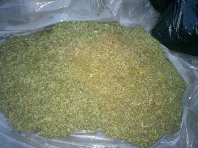 Житель Воронежской области хранил более 20 кг марихуаны