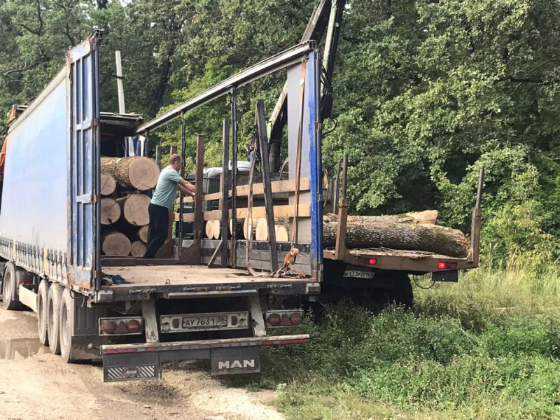 Узаконенный геноцид приостановили под Воронежем