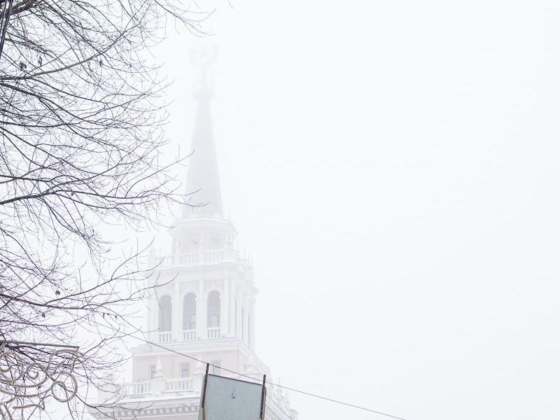 Грозы и туман создали желтый уровень погодной опасности для Воронежской области