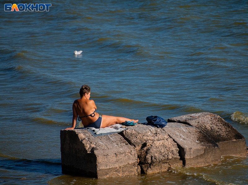 Стало известно, кто сделает «Вид на Царский пляж» в Воронежской области