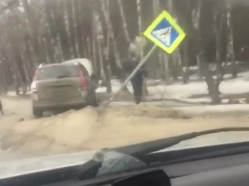 «Снес пешеходник»: в Воронеже произошла жесткая авария