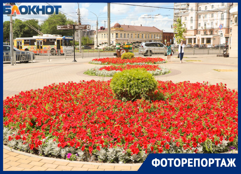 Цветы за 22 миллиона: как бюджетные деньги превращают в клумбы в Воронеже